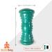 Blissful Being Foot Roller for Plantar Fasciitis and Neuropathy - Foot Massage Roller for Plantar Fasciitis Relief - Freezable Roller for Heel Pain Relief - Buy Online on GoSupps.com