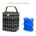 BABEYER Breastmilk Cooler Bag with Ice Pack - Fits 4 Baby Bottles, 9 Oz Capacity - Ideal for Nursing Moms and Daycare - Black - Buy Online on GoSupps.com