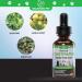 Natural Cat Constipation Relief - Chicken Flavor Laxative for Cats | 1 fl oz - Effective Constipation Relief - Buy Online on GoSupps.com