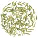 GOARTEA Th Vert - 100g (3.5 Oz) Supreme Anji Bai Cha Long Jing White Dragon Well Loose Spring Leaf Chinese GREEN TEA VERT - Buy Online on GoSupps.com
