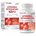 Astaxanthin 24mg - 60 Softgels High Strength Pure & Natural Astaxanthin Powerfully Supports Immune System, Powerful Antioxidant, Cardiovascular Health, Brain & Eye Health, Vegan 1 Count (Pack of 60)
