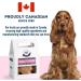 The Granville Island Pet Treatery|Gift Box Wild Sockeye Salmon Oats & Flax Biscuits for Dogs All Natural & Chemical- Free Great As A Hostess Gift Or Thank You Made in Canada|88866 Wild Sockeye Salmon 135 g (Pack of 1) - Buy Online on GoSupps.com
