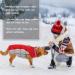 Kuoser Waterproof Dog Coat - Cozy Fleece-Lined Winter Jacket for Small & Medium Dogs - Reflective Pet Clothing in XXXL Red - Buy Online on GoSupps.com