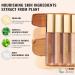 Oulac Hydrating Concealer Makeup | Medium coverage concealer for dark circles | Makeup concealer that nourishes the skin Ivory concealer vegan 3.8ml Ivory (C2) - Buy Online on GoSupps.com