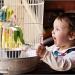 5-Pack Bird Cage Food Holder Clips - Plastic Fruit & Vegetable Feeder for Parrots Cockatiels Parakeets and Small Animals - Durable Easy-to-Use and Space-Saving - Buy Online on GoSupps.com