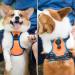 Phoepet 2019 Anti-Pull Dog Harness for Small Dogs - Reflective Adjustable Vest with Handle Front Clip 2 Metal Rings Easy On/Off - Size XS Orange - Buy Online on GoSupps.com
