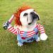 Funny Chucky Dog Costume - Adjustable Halloween Outfit for Pets | Role-Playing Doll Accessories - Buy Online on GoSupps.com