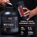 GNC AMP Wheybolic Clinically Proven Protein Powder 40g Whey Protein BCAA Leucine Increases Muscle Strength Muscle Building 3rd Party Tested Gluten Free Classic Vanilla 25 Servings - Buy Online on GoSupps.com