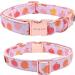 Adjustable Dog Collar with Removable Flower | Halloween Pink Pumpkin Hedgehog Design - XS Size - Buy Online on GoSupps.com