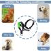 Padded Dog Head Collar for Anti-Pulling Control | Adjustable Head Harness in L Lake Blue - Buy Online on GoSupps.com