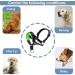 ILEPARK Adjustable Dog Halter with Padded Fabric - Prevent Pulling - S Size in Lake Blue - Perfect for International Shipping - Buy Online on GoSupps.com