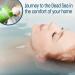 Dead Sea Salt & Magnesium Flakes Bath Soak for Women | Relaxing Bath Salts - Buy Online on GoSupps.com