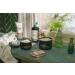 The Body Shop Jamaican Black Castor Oil Hair Mask 8 Oz - Deep Conditioning Treatment - Buy Online on GoSupps.com