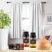 Florona Halloween Fragrance Oil Gift Set - 6 Scents for Aromatherapy - 1 fl oz each - Autumn Wreath, Pumpkin Pie, Candy Corn, Marshmallow, Night Air, Caramel Corn - Buy Online on GoSupps.com