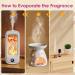100% Natural Aromatherapy Essential Oils Set for Home Diffuser - 10ML x 20 - Gift Set for Relaxing, Cleaning, and Home Fragrance - Buy Online on GoSupps.com