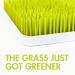 Buy Boon Grass Countertop Drying Rack - Eco-Friendly Kitchen Organizer - Buy Online on GoSupps.com