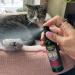 Smokey's Stash Catnip Spray - 2 Ounce Premium Potency Treat for Cats - Buy Online on GoSupps.com