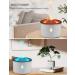 SEAAN Volcano Jellyfish Mist Humidifier 360ml Pro - Pulsating/Continuous Modes, Dual Night Light, Remote Control - Ideal for Bedroom - Buy Online on GoSupps.com