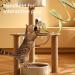 FINEASY Collapsible Cat Tunnel Interactive Cat Toys for Indoor Cats Kitten Cats Feather Mice Teaser Wand S-Shaped Outdoor Play Toys for Kitten Cats Puppy Dog Rabbit Yellow - Buy Online on GoSupps.com