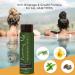 Sunny Isle Rosemary Mint Conditioner 12oz | Anti-Breakage & Growth | Biotin & Jamaican Black Castor Oil | All Hair Types - International Shipping Available - Buy Online on GoSupps.com