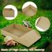 Alongen Tortoise Water Dish Tortoise Food Dish Anti Slip Reptile Pool Bowl with Ramp Reusable Reptile Pool Tortoise Habitat Accessories for Turtles Horned Frogs and Lizards(Brown) - Buy Online on GoSupps.com