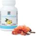 Yes You Can! Probiotics Colon Optimizer - Organic Gut Health Supplement with Ginger & Peppermint, 30 Capsules - Buy Online on GoSupps.com
