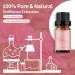 Peony Essential Oil 10ml - 100% Pure Organic Fragrance Oil for Aromatherapy, Diffuser, Candle Making, Soap Making - Brown Bottle - Pack of 1 - Buy Online on GoSupps.com