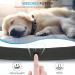 Premium IP68 Waterproof Airtag Dog Collar - Reflective & Durable for Medium-Sized Dogs | Apple Airtag Holder | Black - Buy Online on GoSupps.com
