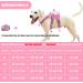 Belpro Multi-Purpose Dog Harness for Large Dogs No Pulling Reflective Adjustable Vest with Durable Handle XL Pink (1 Pack) - Buy Online on GoSupps.com