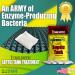 Buy GREEN PIG Septic Tank Treatment - Emergency Formula for Clogged Tanks & Leach Fields 1 Quart - Fast Action & International Shipping - Buy Online on GoSupps.com