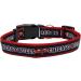 NBA Chicago Bulls Pet Collar - S Size Basketball Team Neck Band for Dogs & Cats - Vibrant & Licensed - Buy Online on GoSupps.com