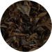 GOARTEA Taiwan Oolong Tea Loose Leaf 100g - Premium Oriental Beauty Bai Hao High Mountain Dong Fang Mei Ren Oolong Tea - Buy Online on GoSupps.com