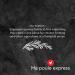 Omega-3 Enriched Starter Feed for Chicks - 10 lbs (4 54kg) - Ma Poule Express - Buy Online on GoSupps.com