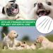 Dog Dental Tooth Scaler and Scraper Double Headed Dog Dental Care Pick Tools Teeth Cleaning Kit Pet Tartar Plaque Remover Set 4 Pcs - Buy Online on GoSupps.com