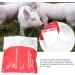 Boar Semen Extender - Long-Term Nutrition Powder for Pig Animal Semen | 7-14 Days Dilution Powder - Buy Online on GoSupps.com