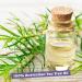 Organic Tea Tree Oil 50ml - Pure Australian Essential Oil for Acne Treatment & Skin Inflammation - Buy Online on GoSupps.com