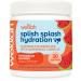 Splish Splash Hydration Electrolyte Drink Mix (Watermelon Flavored 30 Servings) 30 Servings (Pack of 1)