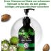 P-Beauty Castor Oil Shampoo with Biotin 3x300ml for Hair Growth Natural Hair Care & Scalp Care | Anti Hair Loss Shampoo - Buy Online on GoSupps.com