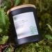 Wellness Candle Organic Forest Bathing | CandaScent Labs | 100% Botanical Black Spruce & Fir Balsam - Luxurious Rejuvenating & Synthetic-Free - Buy Online on GoSupps.com