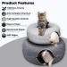 Cherie Bear Donut Design Cat Tunnel Bed for Indoor Cats - Interactive Toy and Cozy Hiding Tent for Large Kittens - Dark Grey - Buy Online on GoSupps.com