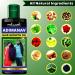 Adivasi Pure Herb Hair Oil - Nourishing Oil for Hair Growth & Repair | Castor Amla Jojoba Argan Oils for Dry & Frizzy Hair - Buy Online on GoSupps.com