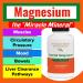 Essential Magnesium by Dr. Rajsree | Supports Restful Sleep Muscle Relaxation & Healthy Bowel Regulation | Contains 3 Forms of Highly Absorbable Magnesium | 180 Capsules - Buy Online on GoSupps.com