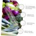 VANZACK Garden Key Hider 1pc Pentagram Mold Plastic Fruit Transparent Cucumber Tools Planting Supplies Watermelon Stereotypes - Buy Online on GoSupps.com