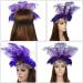 FRCOLOR Feather Headband Vintage Fascinator Carnival Headpiece Party Masquerade Pageant Show Headdress (Purple) - Buy Online on GoSupps.com