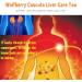 Goji Berry Cuscuta Health Tea Liver Care Tea Premium Five Flavors Herbal Tea Combination - Schisandra Berries Dodder Wolfberry - Support Kidney Health & Boost Energy (3 Box) - Buy Online on GoSupps.com