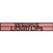 Buy LIPSTICK QUEEN Vesuvius Liquid Lipstick - Vesuvian Blush | International Shipping Available - Buy Online on GoSupps.com