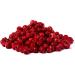Bite & Delight 500g Freeze Dried Red Currants Sour Crunchy Healthy Snack No Added Sugar Doypack - Buy Online on GoSupps.com