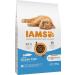 IAMS Junior Dry Cat Food with Fish - 10 kg for Kittens (1-12 Months) | Premium Nutrition for Healthy Growth - Buy Online on GoSupps.com