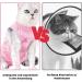 Mezrkuwr Katzenbody for Cats - Soft One-Piece Surgical Recovery Suit & Spay Collar Alternative (Medium) - Ideal After Castration - Buy Online on GoSupps.com