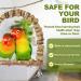 LIMIO 4 Pack Bird Swing & Perch Toys for Small Parakeets, Cockatiels, Conures - Natural Wood Bird Ladder for Cage - Ideal for Finches, Budgies, Macaws, Parrots, Love Birds - Buy Online on GoSupps.com